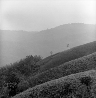 1_116_2_3
