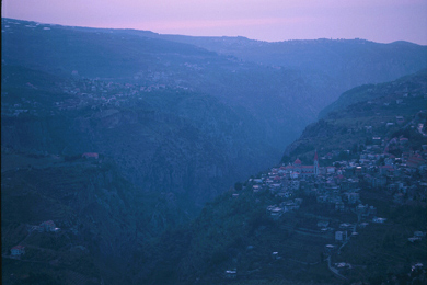 Image Active