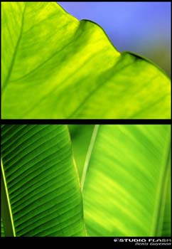 1_146_1_3