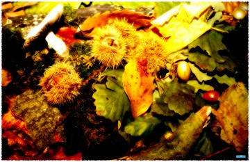 1_169_1_5