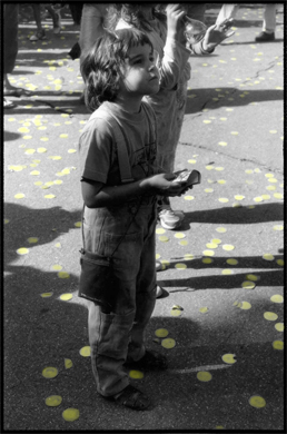 1_195_1_2