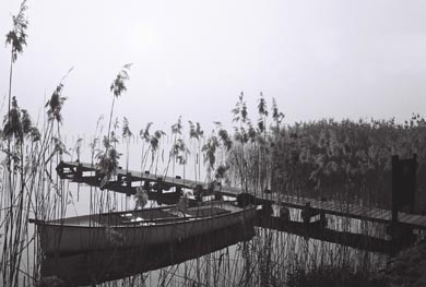 1_204_1_10