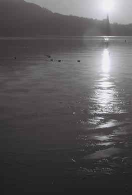 1_204_1_6
