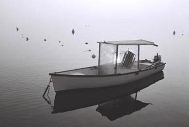 1_204_1_8