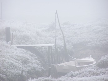 1_218_1_10