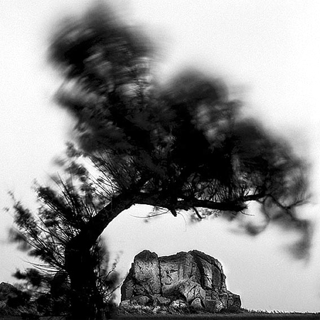 1_256_1_2