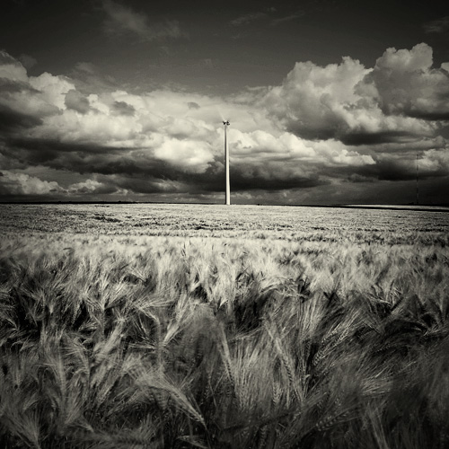 Thierry Vercampt