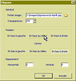 VSO Image Resizer - 10 Filigrane semi-transparent mt_popup:10 Filigrane semi-transparent