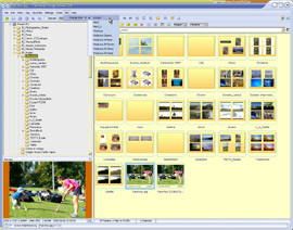 Fast Stone Viewer - 23 Habillage 'Corona' mt_popup:23 Habillage 'Corona'