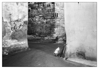 Auteur : Clement Renard mt_popup:Photo Clement Renard