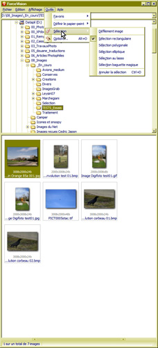 Force Vision - 10 Menu Outils - sélection mt_popup:10 Menu Outils - sélection