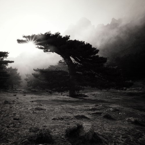 1_280_3_6
