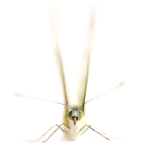 1_304_1_3