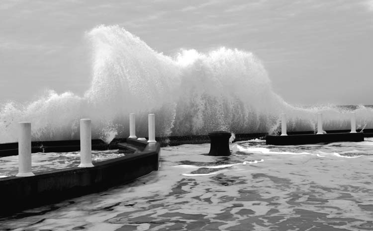 Auteur : Virginie Maillard mt_popup:Photo Virginie Maillard