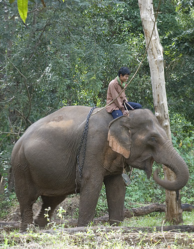 Indochina