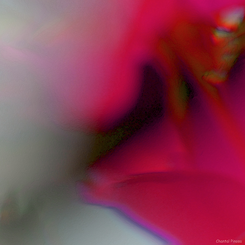 1_343_2_9