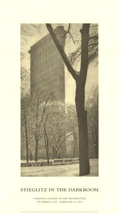 La biographie de Alfred Stieglitz par Roland Quilici photographie