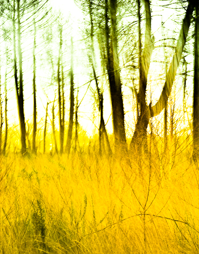 Photo Jean Congnard mt_popup:Photo Jean Congnard