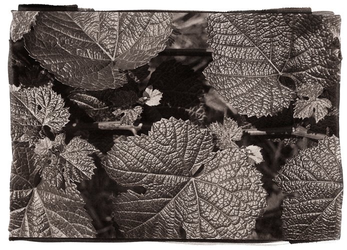 1_418_1_10