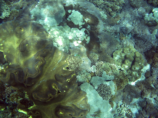 masque_explorer_11
