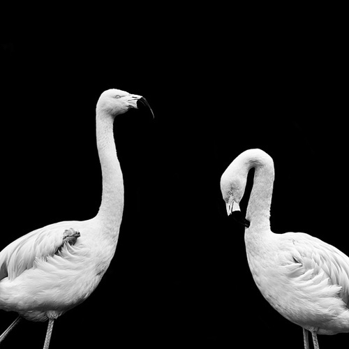 Photographe : Nicolas Evariste