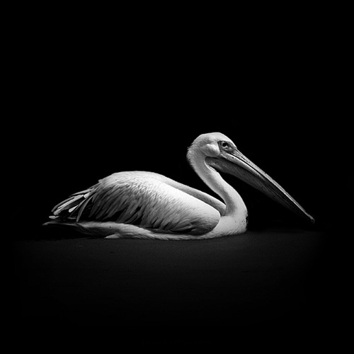 1_439_1_6