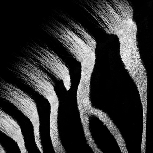 1_439_1_7
