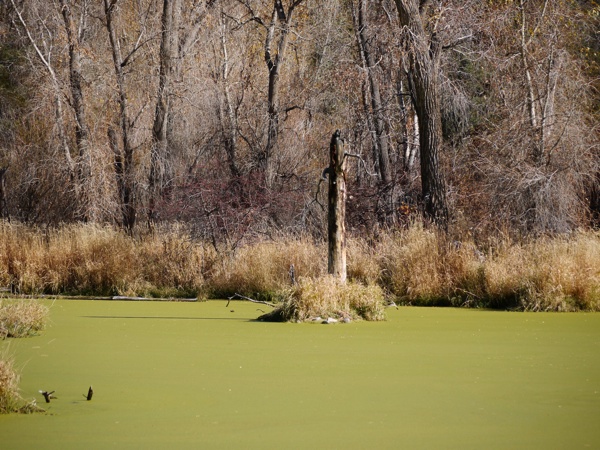 lac-vert-ranch
