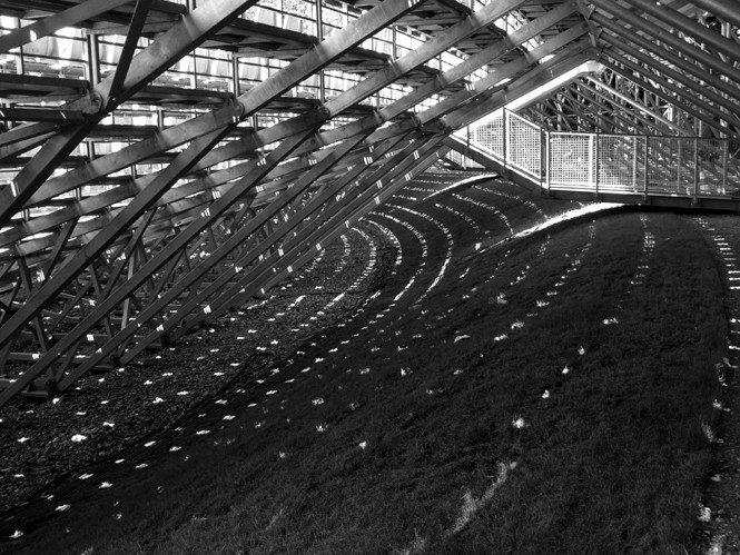 1_462_1_8