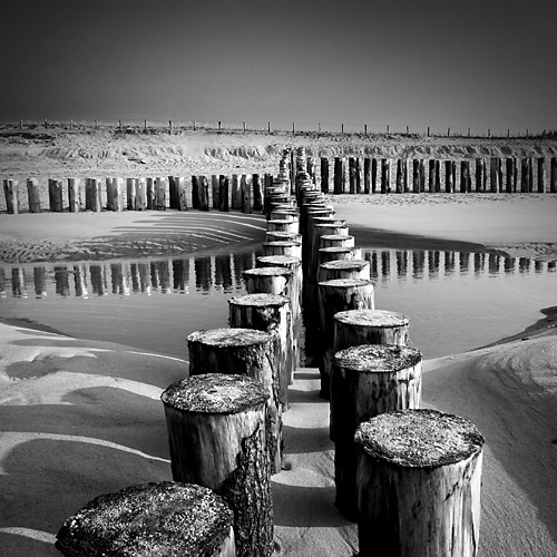Photographe : Laurent Dudot