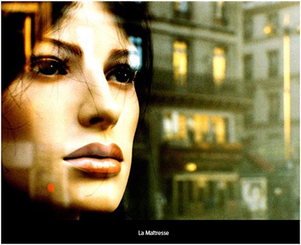 Photographe David Law
