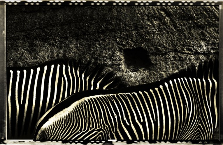 1_489_1_10