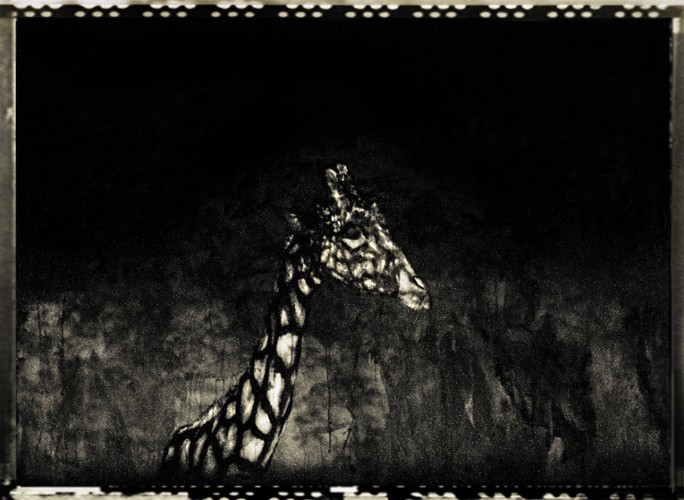 1_489_1_3