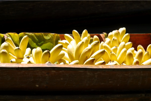 marche-flottant-3