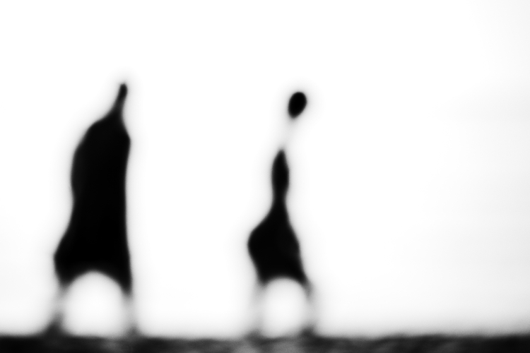 1_504_1_6