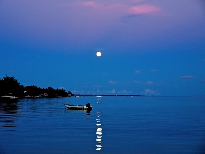 Photographe Vincent Pommeyrol