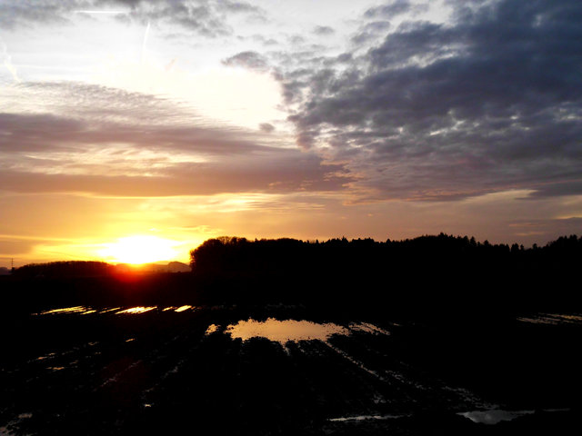 photographie