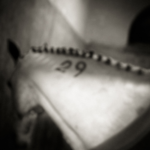 2_493_1_18