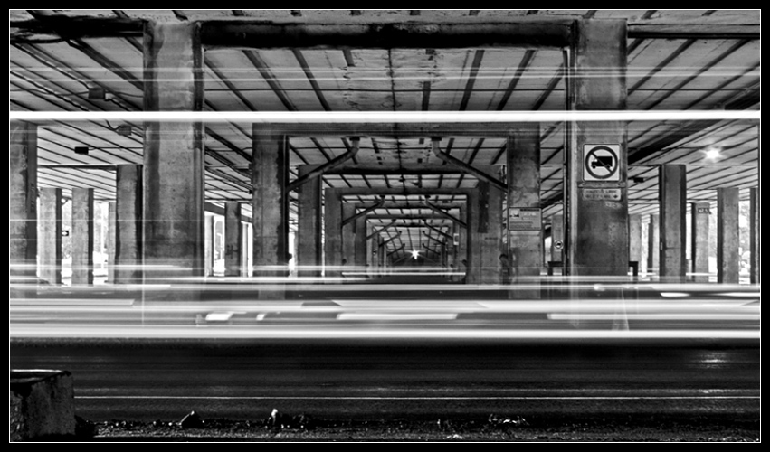 Photos de Frédéric Larose