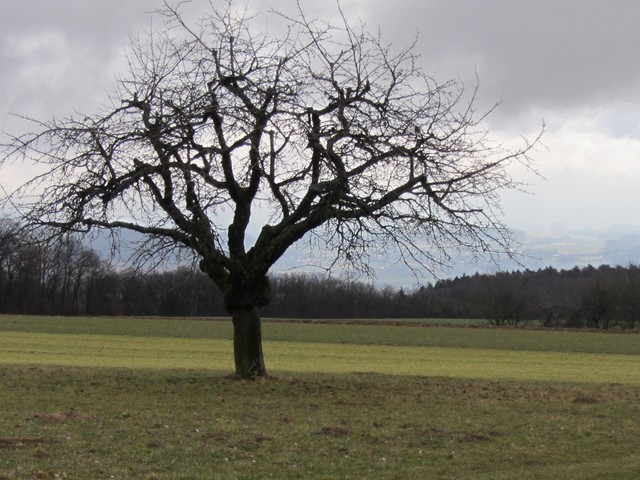 photographie