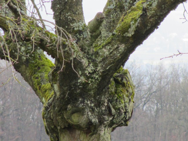 photographie