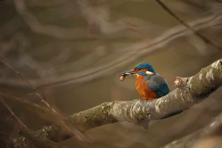 Photo de GilGPhotographie mt_popup:Photo de GilGPhotographie