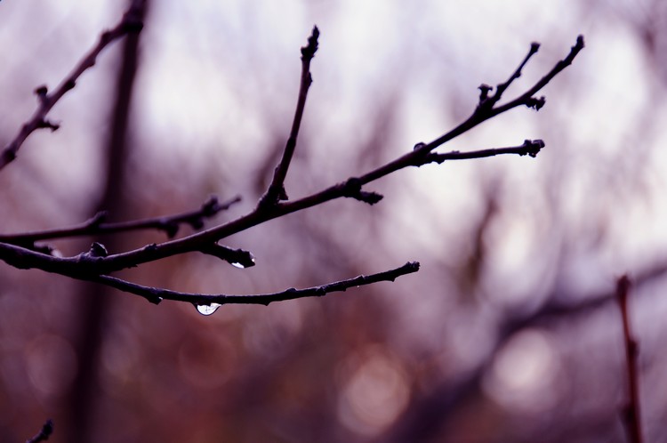 Critique Images par POV et Herve Cornette