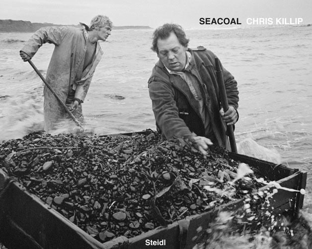 seacoal