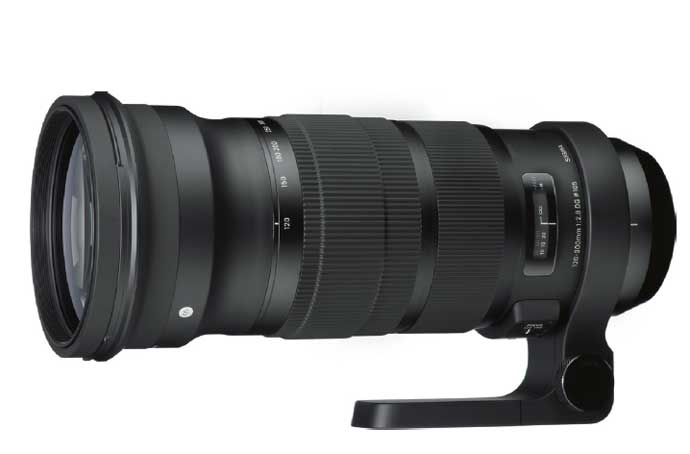 sigma sigma
