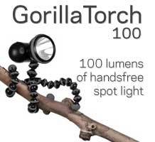 gorilla