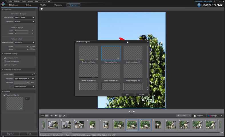 pratique_reflexe photodirector