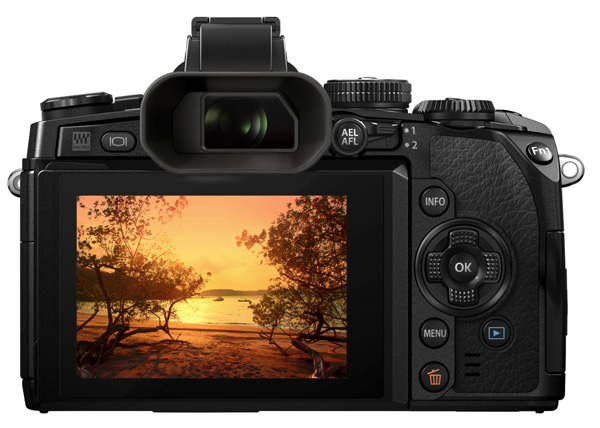 olympus om de m1
