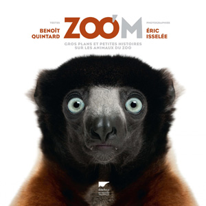 joo animaux