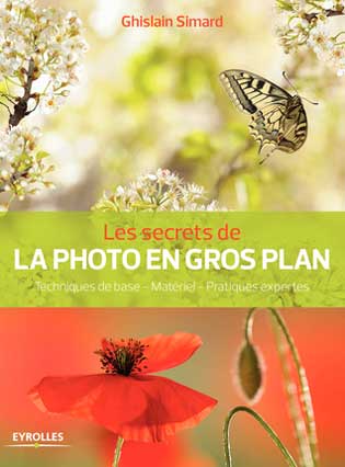 Apprendre la photo photo_en_gros_plan